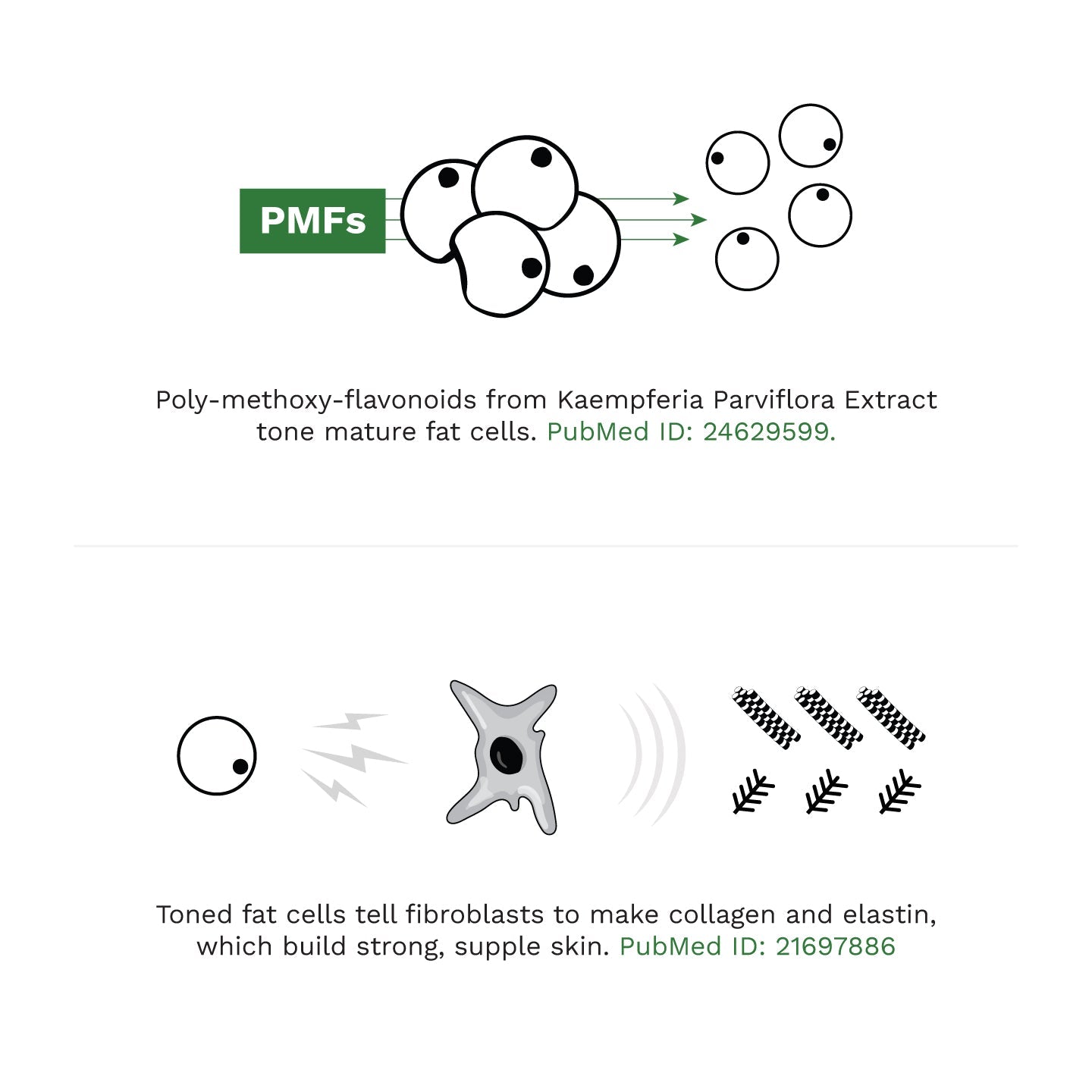 ADIPEAU - STRONG BODY GEL